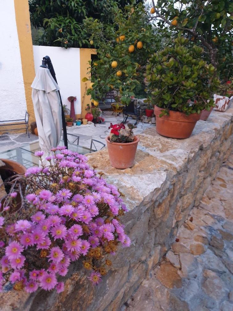 Casa Das Janelinhas - Cottage Near Sintra, Mafra, Ericeira Exterior foto